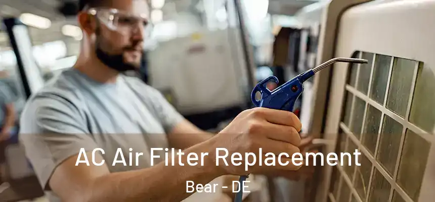  AC Air Filter Replacement Bear - DE