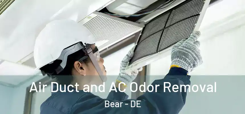 Air Duct and AC Odor Removal Bear - DE