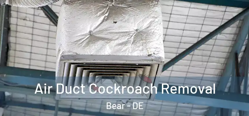  Air Duct Cockroach Removal Bear - DE