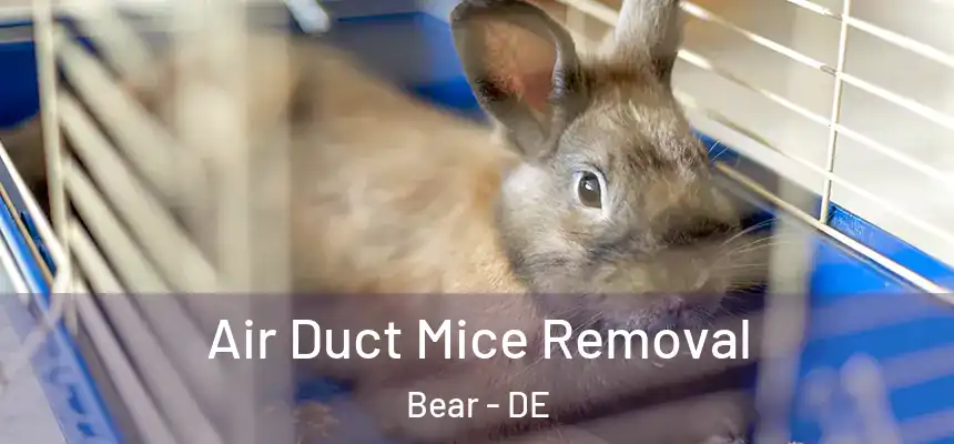 Air Duct Mice Removal Bear - DE