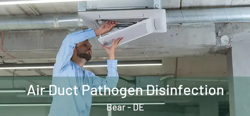 Air Duct Pathogen Disinfection Bear - DE