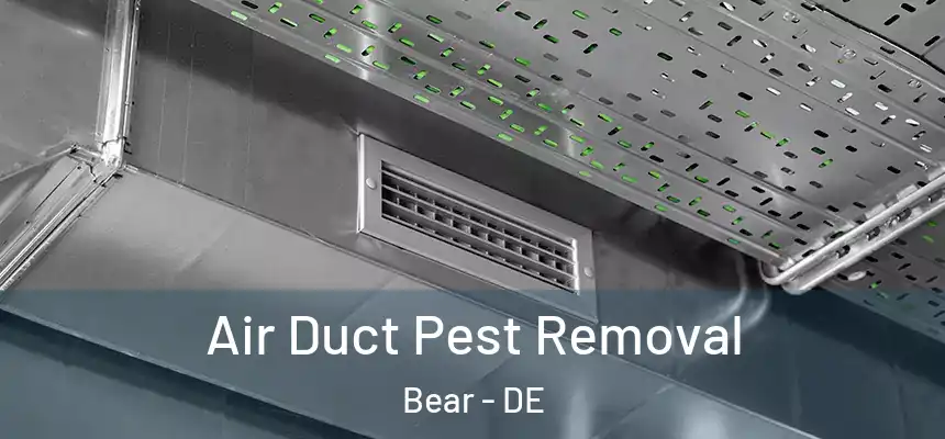Air Duct Pest Removal Bear - DE
