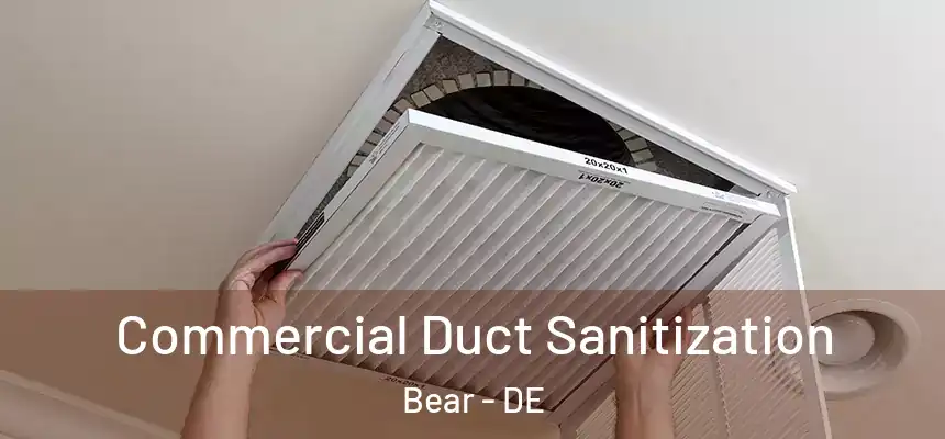  Commercial Duct Sanitization Bear - DE