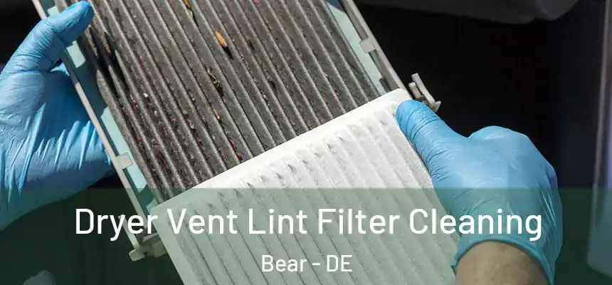  Dryer Vent Lint Filter Cleaning Bear - DE