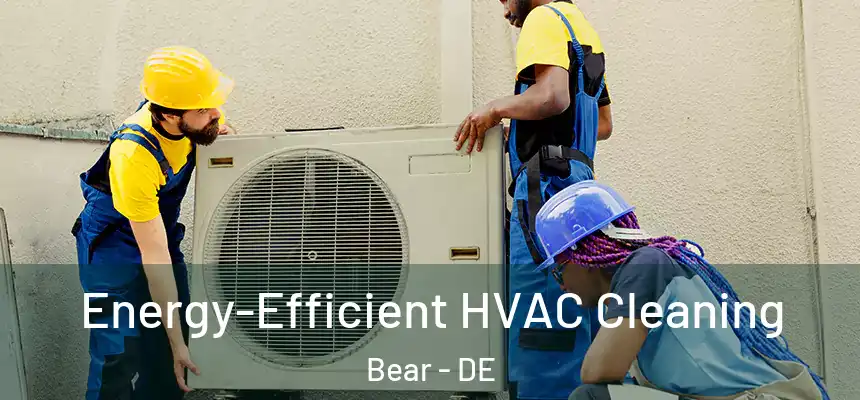  Energy-Efficient HVAC Cleaning Bear - DE