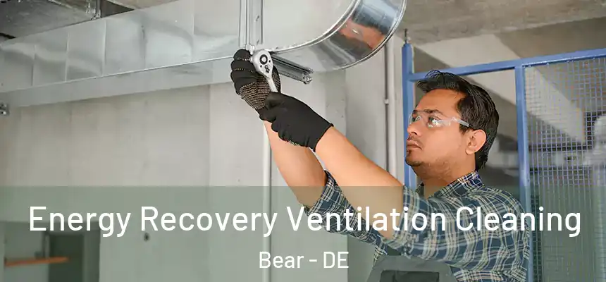 Energy Recovery Ventilation Cleaning Bear - DE