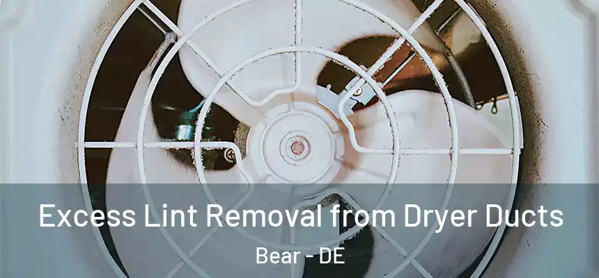 Excess Lint Removal from Dryer Ducts Bear - DE