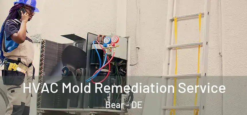 HVAC Mold Remediation Service Bear - DE
