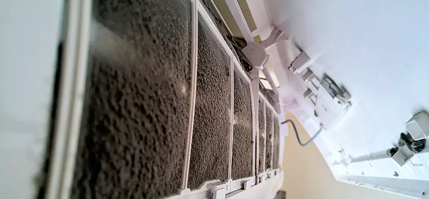 Preventive Air Duct Bacteria Removal in Bear