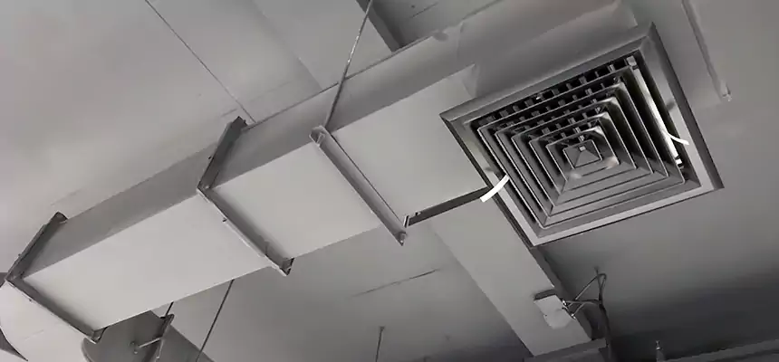 Restorative Allergy Relief Vent Cleaning – Coil, Blower & Housing Detail in Bear