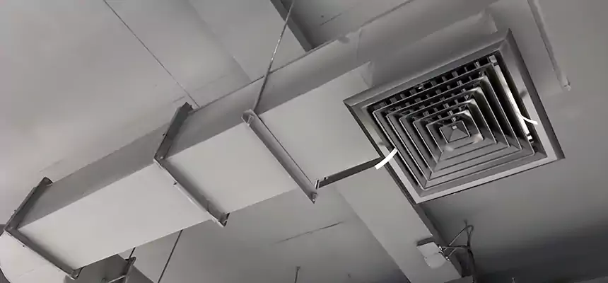 Our Pest Removal From Ducts Services in Bear, DE