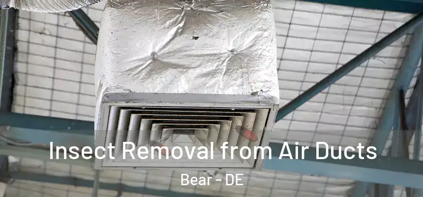 Insect Removal from Air Ducts Bear - DE