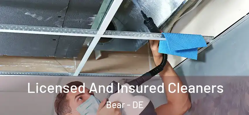  Licensed And Insured Cleaners Bear - DE