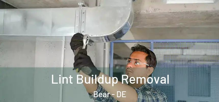  Lint Buildup Removal Bear - DE