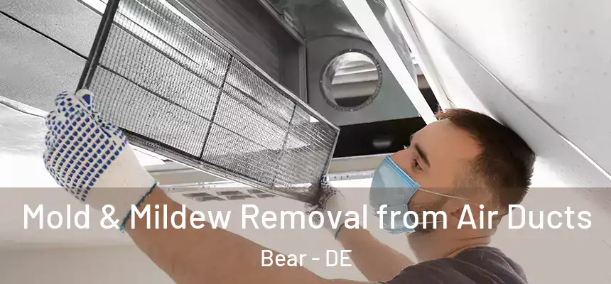 Mold & Mildew Removal from Air Ducts Bear - DE