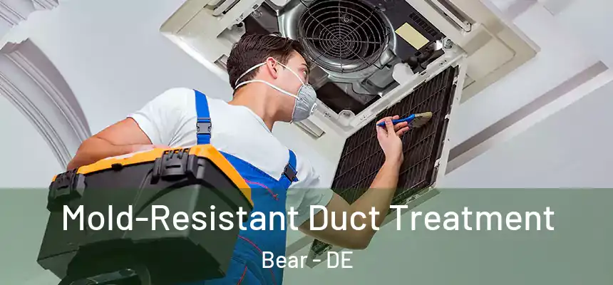 Mold-Resistant Duct Treatment Bear - DE