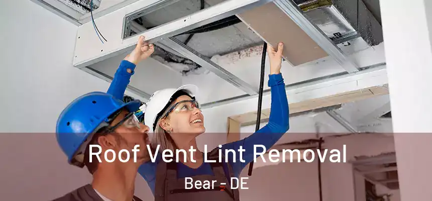  Roof Vent Lint Removal Bear - DE