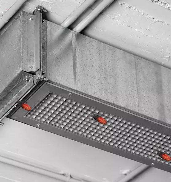 About Air Duct Cockroach Removal in Bear, DE