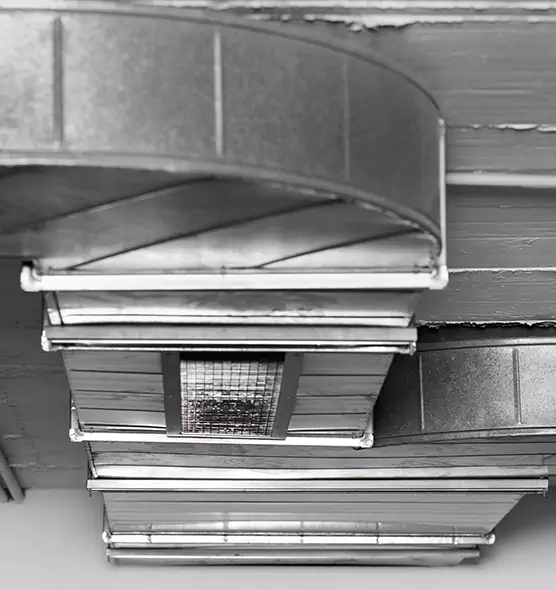 Professional Air Duct Pet Hair Removal in Bear, DE