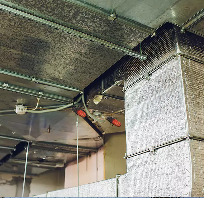 Why Homeowners & Businesses Trust Us Bear, DE?