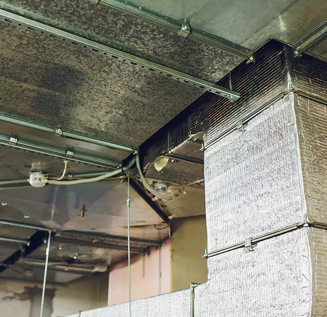 Why Homeowners & Businesses Trust Us in Bear, DE?